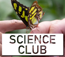 GWC Science Club